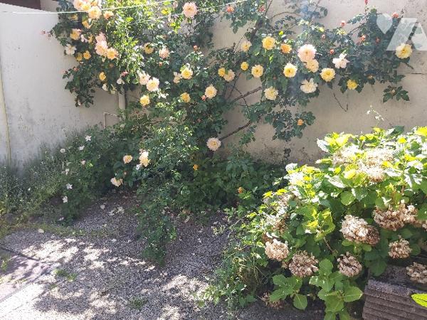 Maison de village mitoyenne avec dépendance