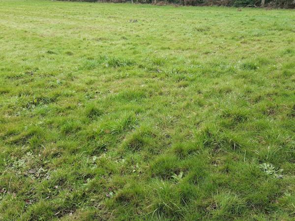 Terrain à VANNES, 56000 - 325m²