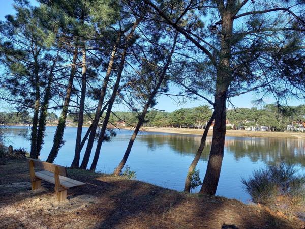Location de vacances                                                      Appartement
                        
                     2 pièces                      35 m2                     à Mimizan