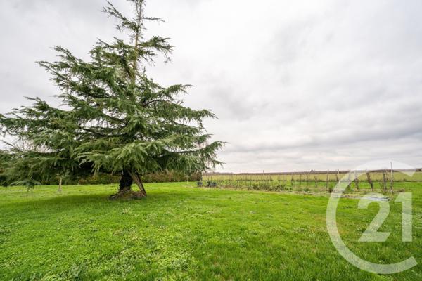 Maison à vendre  10 pièces - 170 m2 SAUJON - 17