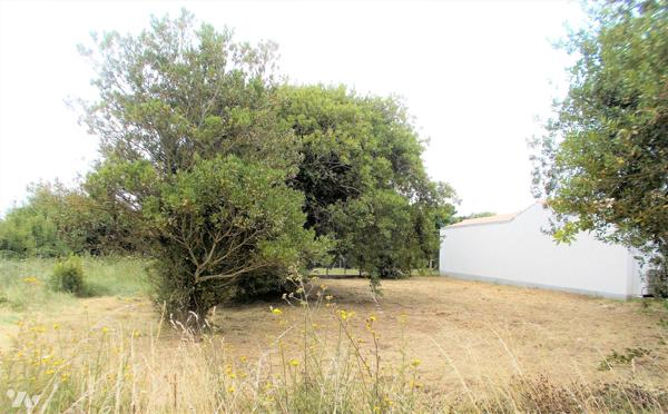 A vendre à SAINT-DENIS D'OLERON "La Bétaudière" beau terrain à bâtir de 530 m2 borné