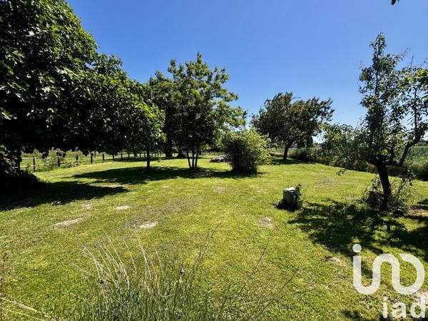 Longère 7 pièces de 161 m² à Loire-Authion (49250)