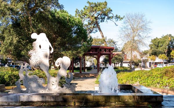 Appartement à vendre    2 pièces • 40,43 m2 Soorts-Hossegor