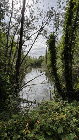 ETANG