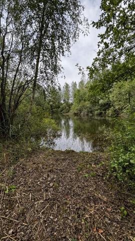 ETANG