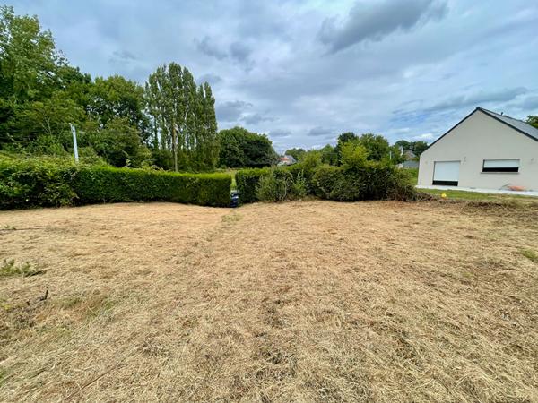 PLERGUER - EXCLUSIVITE