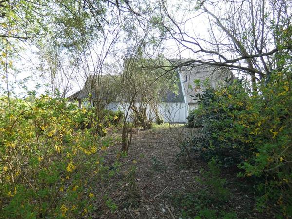 Maison  d'architecte de 200m2 - en très bon état - sur près 95 000m2 !