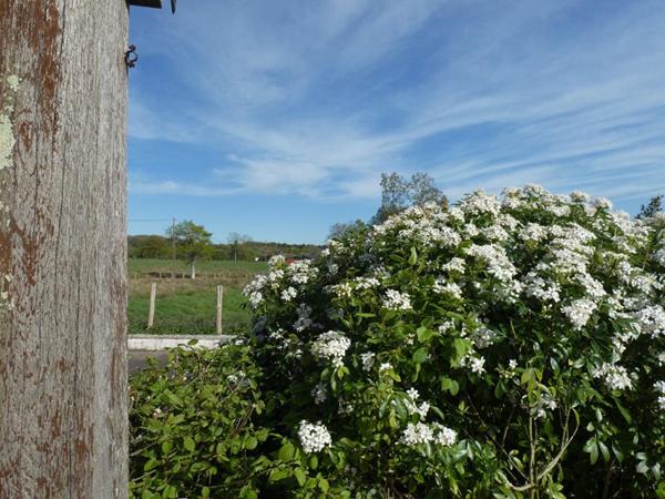 Maison  d'architecte de 200m2 - en très bon état - sur près 95 000m2 !