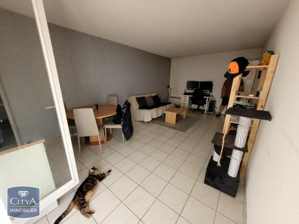 Appartement à louer 2 pièces 48.19m² Blois (41000)