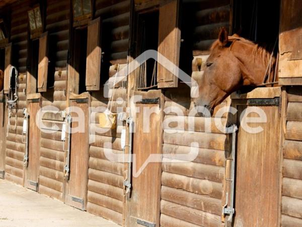 GARD(30) À VENDRE Fonds de Commerce de Promenade à Cheval à proximité de la mer en petite Camargue 10 000 m 2.