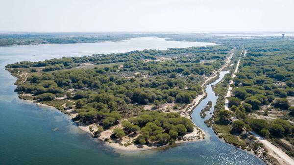 GARD(30) À VENDRE Fonds de Commerce de Promenade à Cheval à proximité de la mer en petite Camargue 10 000 m 2.