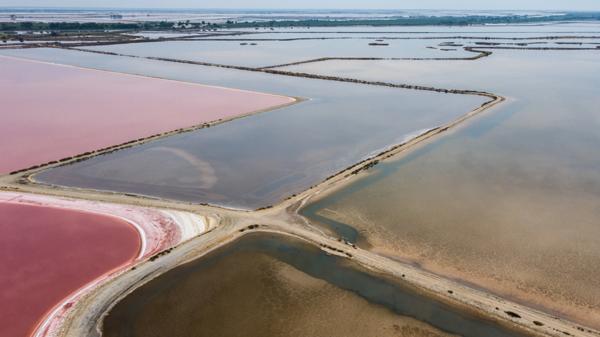 GARD(30) À VENDRE Fonds de Commerce de Promenade à Cheval à proximité de la mer en petite Camargue 10 000 m 2.