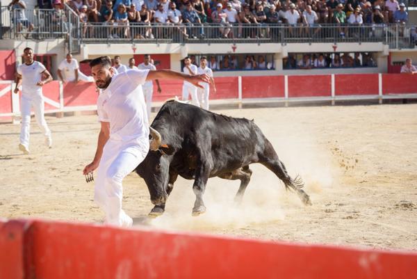 GARD(30) À VENDRE Fonds de Commerce de Promenade à Cheval à proximité de la mer en petite Camargue 10 000 m 2.