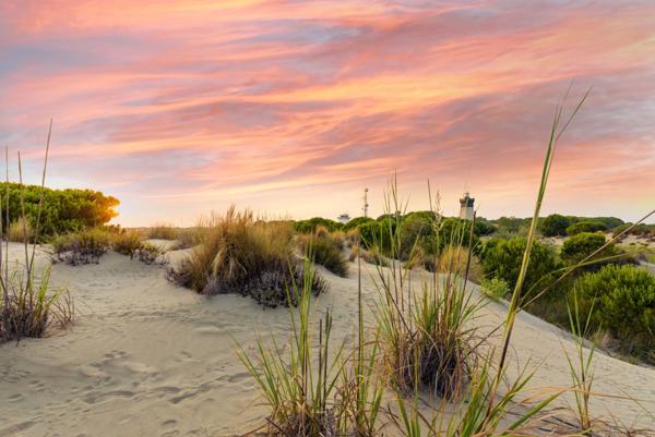 GARD(30) À VENDRE Fonds de Commerce de Promenade à Cheval à proximité de la mer en petite Camargue 10 000 m 2.