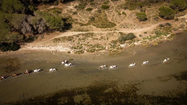 GARD(30) À VENDRE Fonds de Commerce de Promenade à Cheval à proximité de la mer en petite Camargue 10 000 m 2.