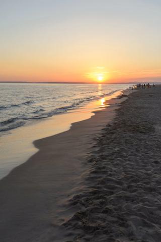 GARD(30) À VENDRE Fonds de Commerce de Promenade à Cheval à proximité de la mer en petite Camargue 10 000 m 2.