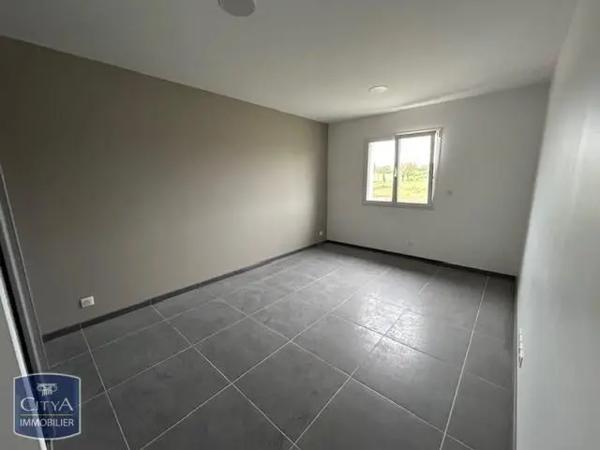 Location local professionnel