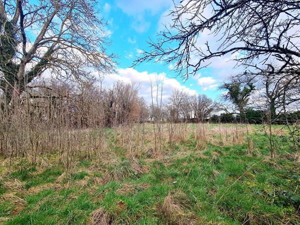 Terrain Montsaon 2063 m2