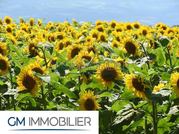 À vendre – Grand terrain constructible secteur Hagetmau