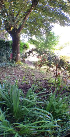 T2 de charme avec jardin et parking