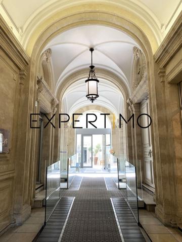 Hôtel particulier luxueux, investissement meublé, géré