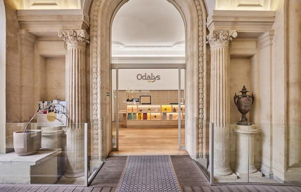 Hôtel particulier luxueux, investissement meublé, géré