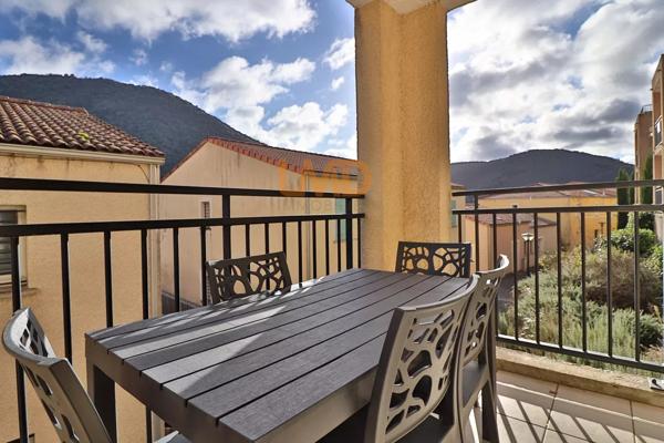 Appartement T2 Cabine - Terrasse - Station Thermale Avene