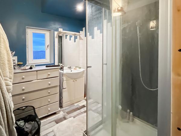 À vendre : Propriété avec maison récente et maison en pierre à rénover sur grand terrain