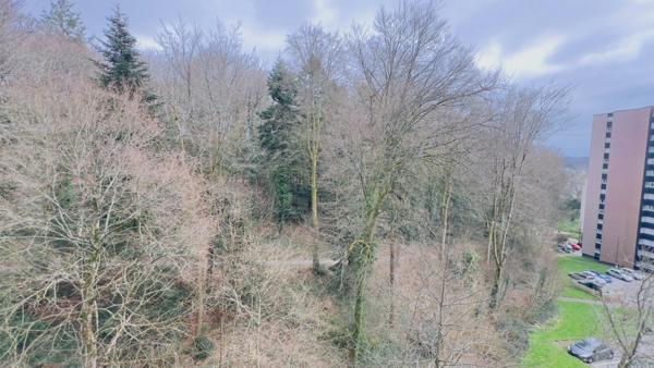 Quimper Ouest - Appartement T4 de 78 m² habitable - 1 loggia - Une terrasse - Cave.