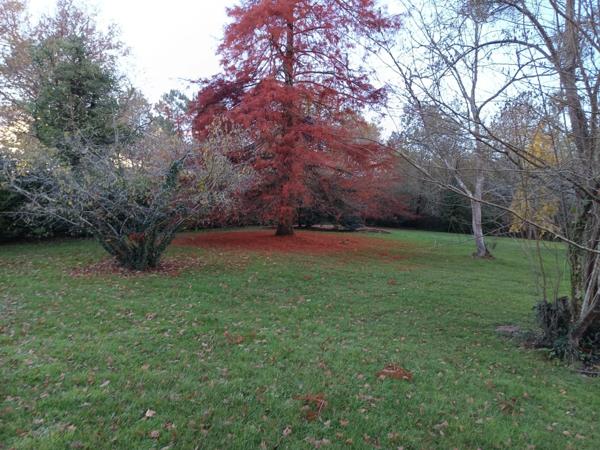BELLE DEMEURE DE PLUS DE 300 M² AVEC PISCINE DANS UN CADRE IDYLLIQUE SUR ENVIRON 2 HECTARES