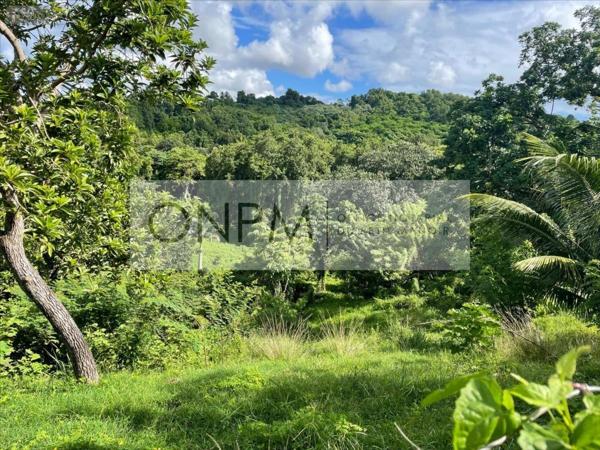 Terrain à Batir à vendre à Ducos en Martinique (97224), ref : 97207-761