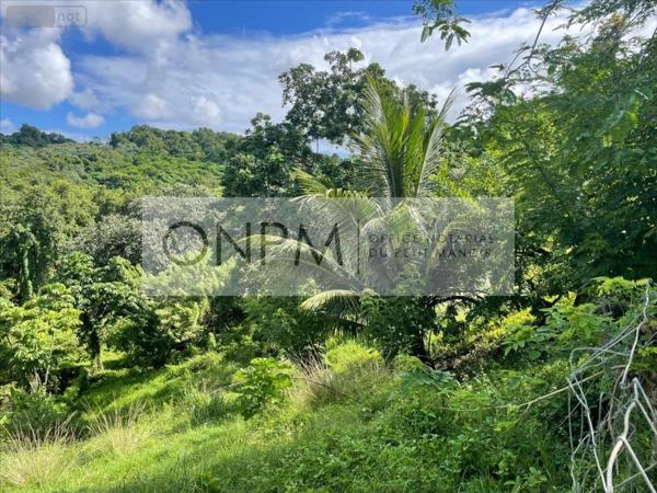 Terrain à Batir à vendre à Ducos en Martinique (97224), ref : 97207-761
