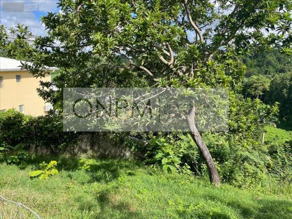 Terrain à Batir à vendre à Ducos en Martinique (97224), ref : 97207-761