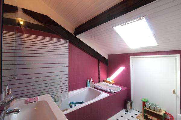 Maubourguet (65700) Maison de caractère avec dépendance professionnelle