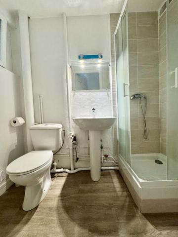 Appartement Lyon 1 pièce 26m2 en rez-de-jardin