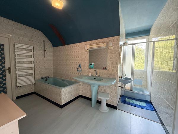 Maison Chateau Gontier Sur Mayenne 11 pièce(s)