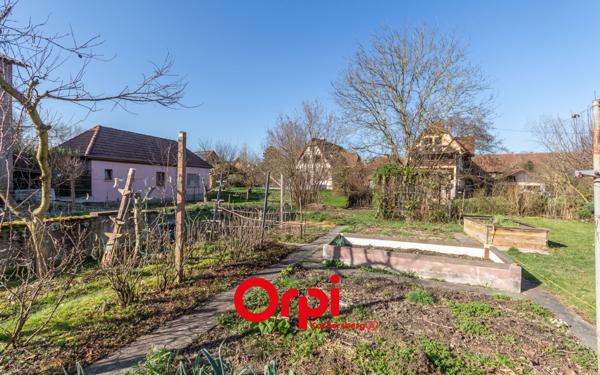 Terrain à vendre    Pfulgriesheim