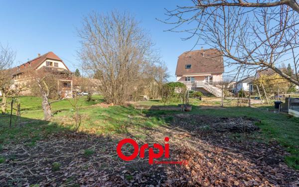 Terrain à vendre    Pfulgriesheim