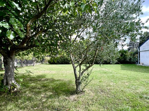 Druye (37190) Maison d'habitation avec jardin