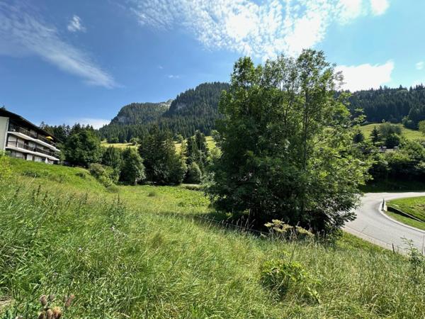 A vendre LA CLUSAZ Chalet de caractère - 237 m²