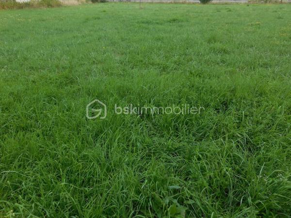 Terrain de 1 089 m²