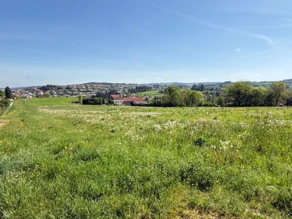 Terrains à vendre MONISTROL SUR LOIRE (43)