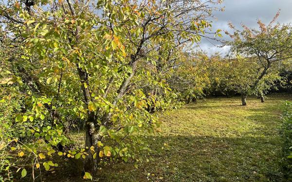 Maison à vendre    6 pièces •  Alençon