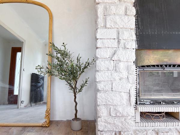 Maison 3 chambres avec jardin 600 m² !