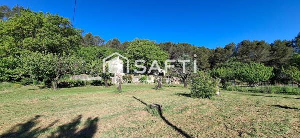 Maison 127 m2 plain pied, terrain 4220 m2, piscine