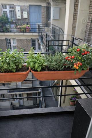 RARE – Neuilly-sur-Seine, élégant appartement de 70 m² baigné de lumière avec vue spectaculaire sur La Défense