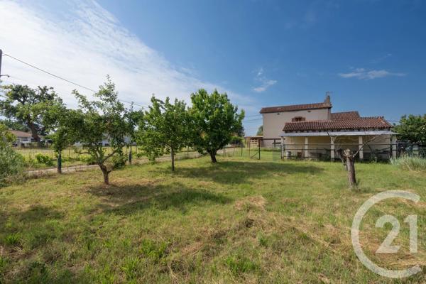 Maison à vendre  4 pièces - 145 m 2   ALBI  - 81