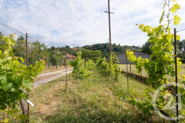 Maison à vendre  4 pièces - 145 m 2   ALBI  - 81