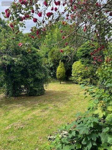 Maison à vendre à Hesdin dans le Pas-de-Calais (62140), ref : 083/1916