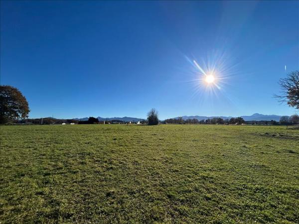 Terrain à vendre |  Lannemezan |  4055 m²
